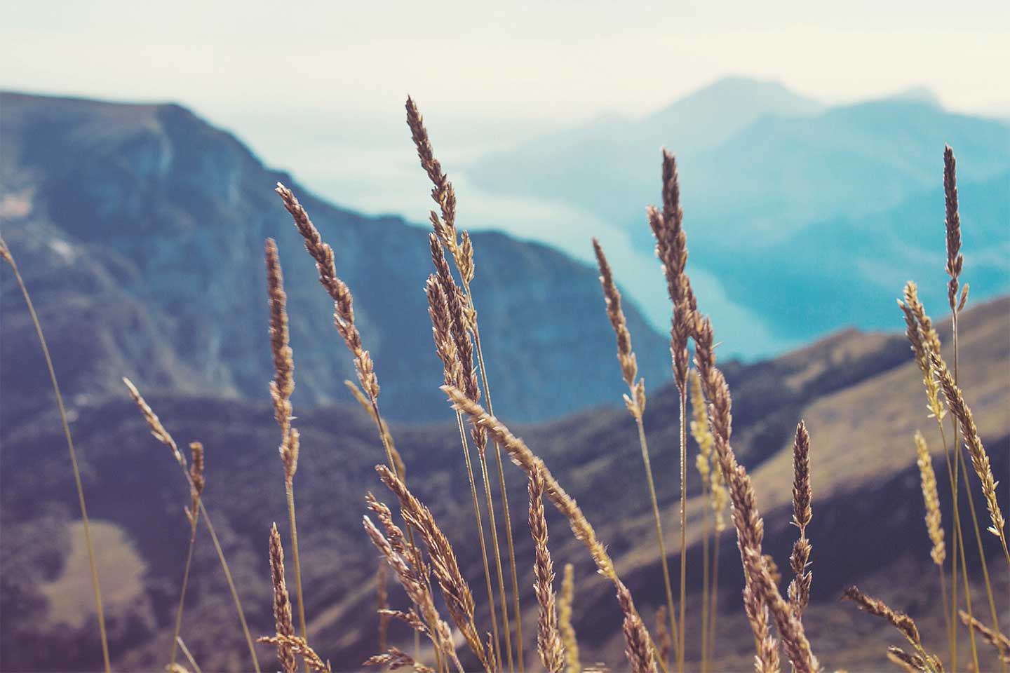 background-image